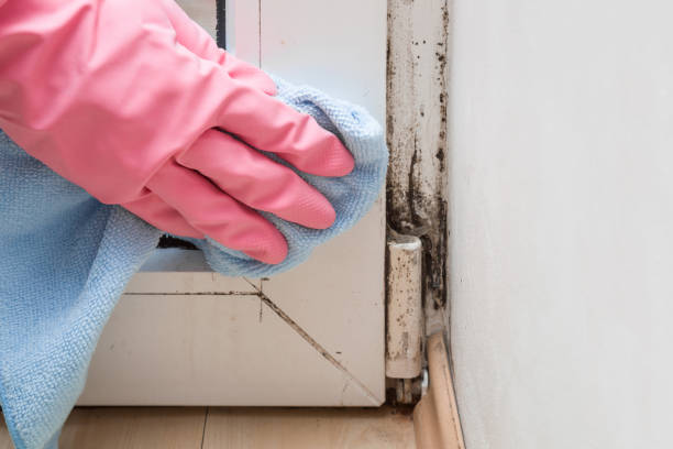 Best Asbestos and Lead Testing During Mold Inspection  in Queens Gate, PA