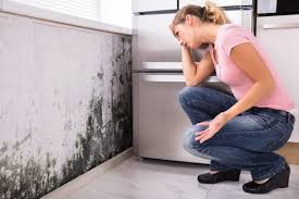 Best Dehumidification Services  in Queens Gate, PA